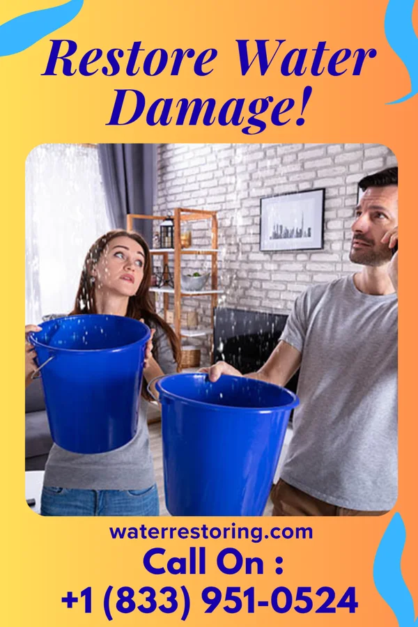 water restoration Expert Water Cleanup Specialists Bolton Valley