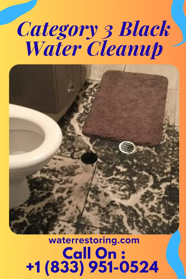 Category 3 Black Water Cleanup in Bolton Valley, VT