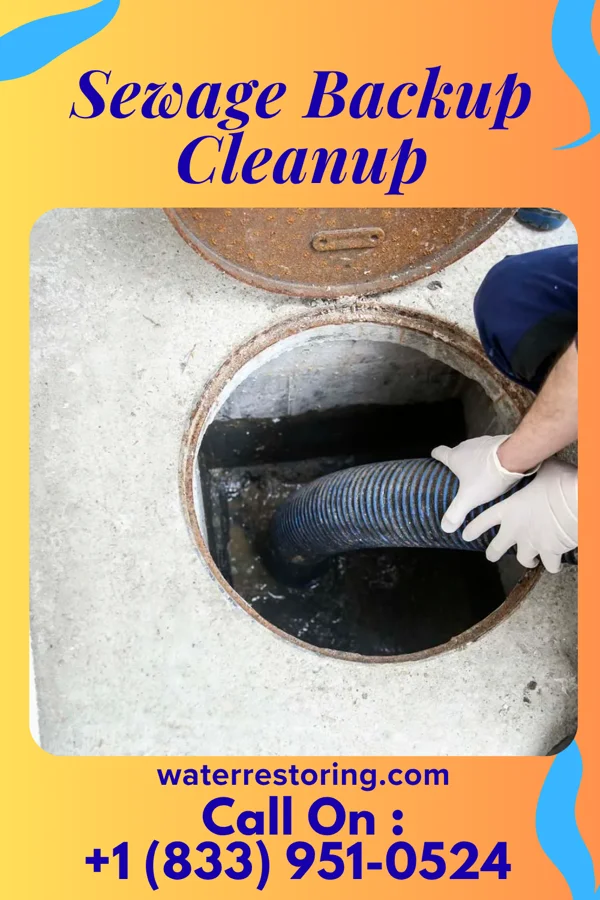 Sewage Backup Cleanup in Bolton Valley, VT