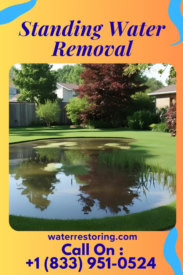 Standing Water Removal in Bolton Valley, VT
